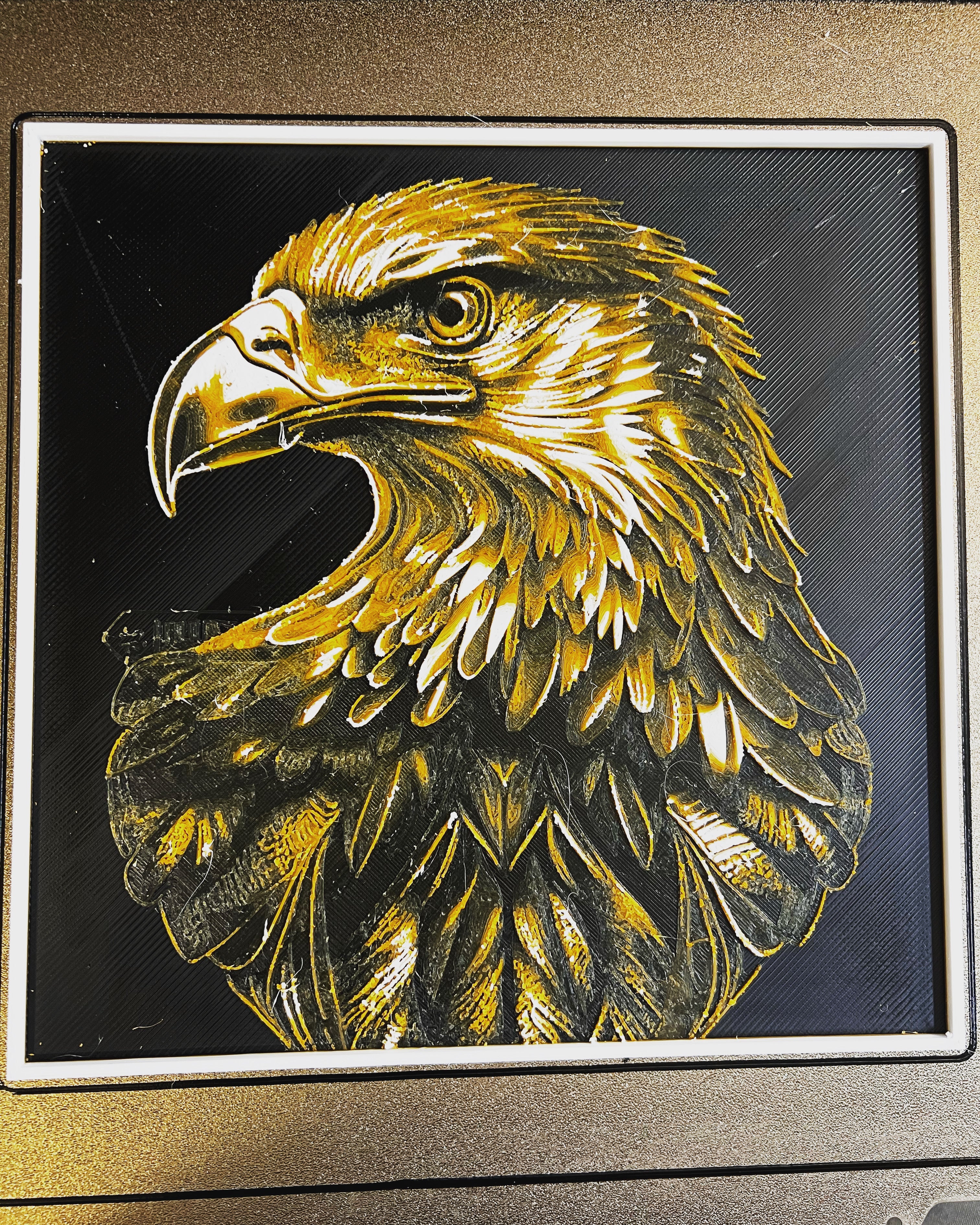 HueForge Software - Image 12