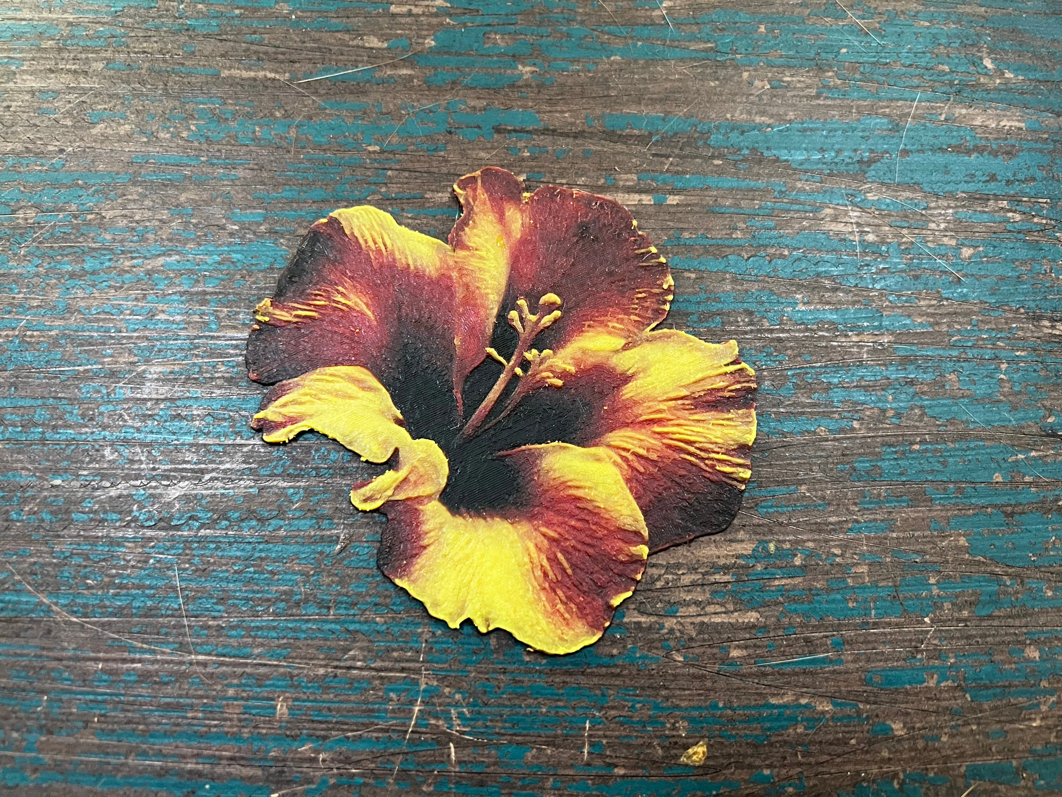 HueForge Software - Image 27